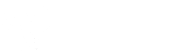 Logo Fariz Global